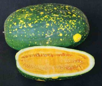 Heirloom Watermelon Varieties Image